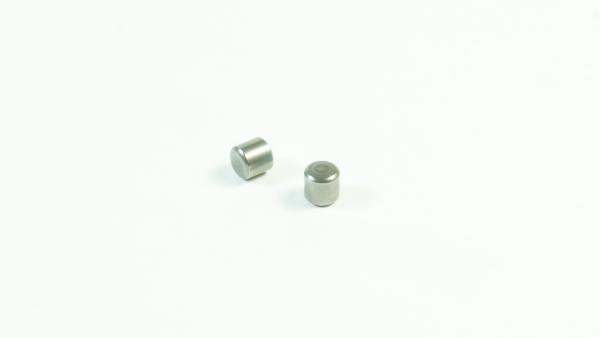 SWORKz Stift 5 x 4,9mm (2)